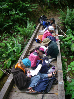 Students learning on the trail